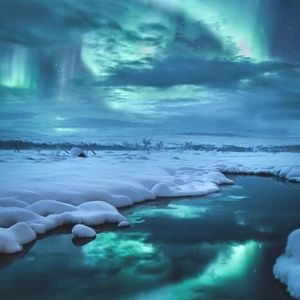 Meet your Posher, Phoebe